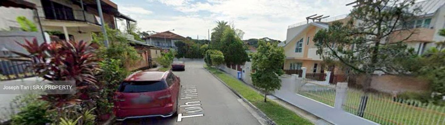 Toh Estate (D17), Detached #461777081